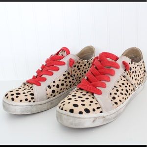 Dolce Vita Zalen Lace Up Sneakers In Leopard